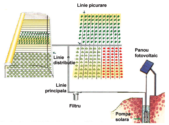http://www.energie-verde.ro/images/stories/irigare_picurare.gif